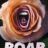 Roar : 1.Sezon 3.Bölüm izle