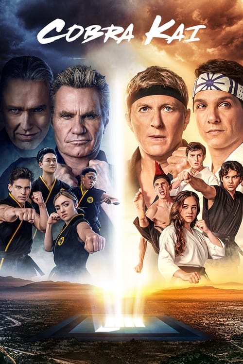 Cobra Kai : 1.Sezon 6.Bölüm