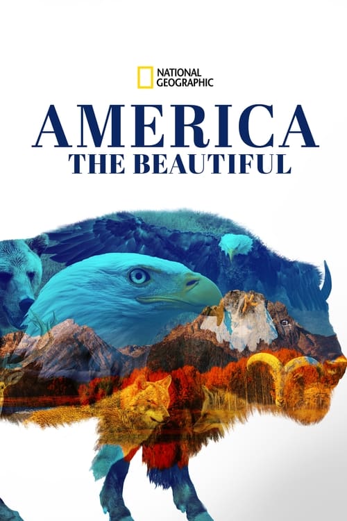 America the Beautiful : 1.Sezon 4.Bölüm