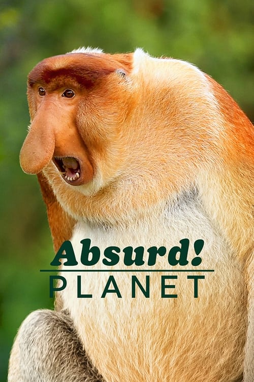 Absurd Planet : 1.Sezon 2.Bölüm