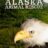 Alaska Animal Rescue : 1.Sezon 3.Bölüm izle