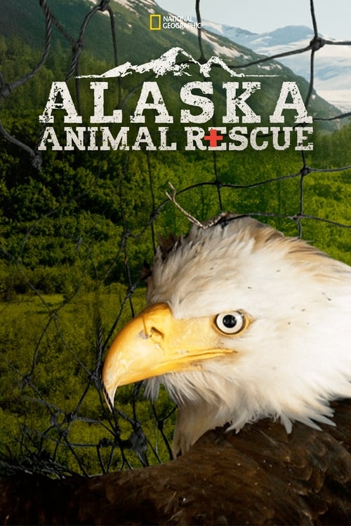 Alaska Animal Rescue : 1.Sezon 5.Bölüm