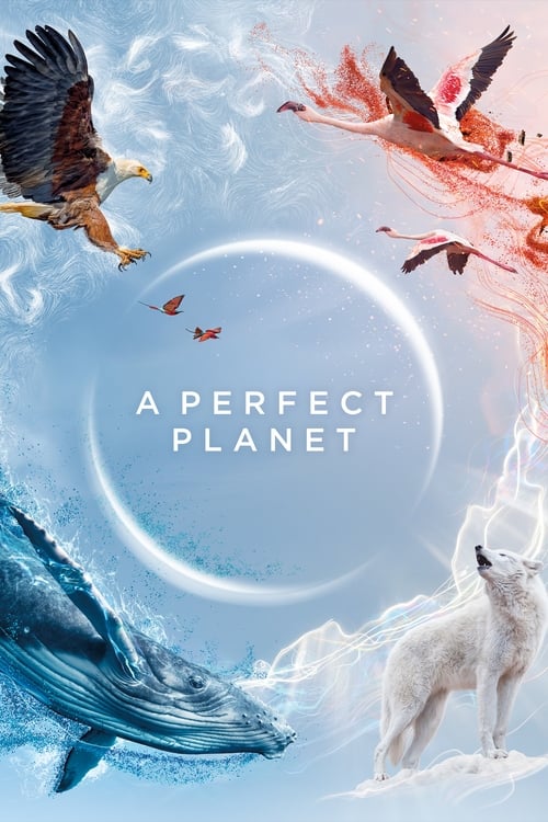 A Perfect Planet : 1.Sezon 3.Bölüm