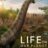 Life on Our Planet : 1.Sezon 6.Bölüm izle