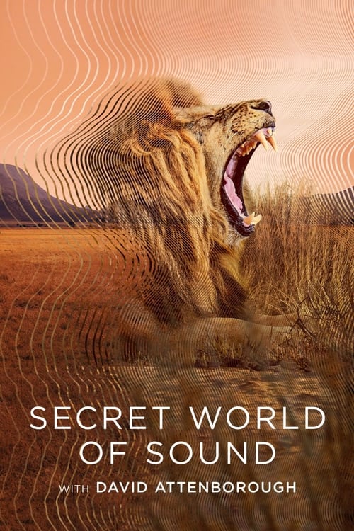 Secret World of Sound : 1.Sezon 2.Bölüm