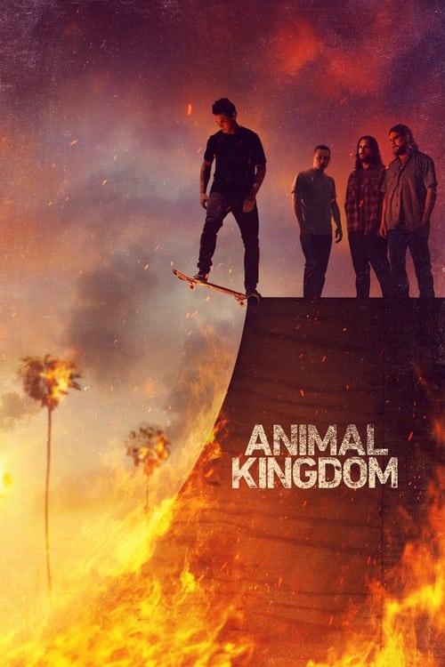 Animal Kingdom : 3.Sezon 8.Bölüm