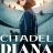 Citadel Diana : 1.Sezon 3.Bölüm izle