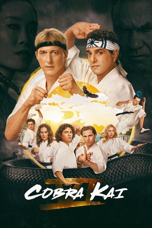 Cobra Kai : 6.Sezon 9.Bölüm